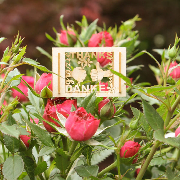 Danke-Mini-Silhouette Silhoubox S – Souvenir